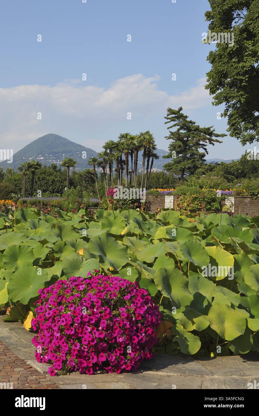 Un capolavoro di architettura di giardino - parco - giardino sul lago Maggiore Foto Stock