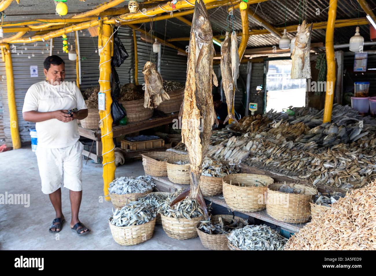 Venditore locale che vende pesce di mare essiccato impilato in cesti di legno in un mercato locale vicino a Bhubaneswar, Orissa, India Foto Stock