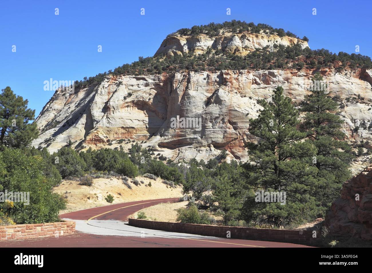 Parco nazionale di Zion, Stati Uniti. La pittoresca strada che conduce alle scogliere di arenaria multicolore, incredibilmente piegate Foto Stock