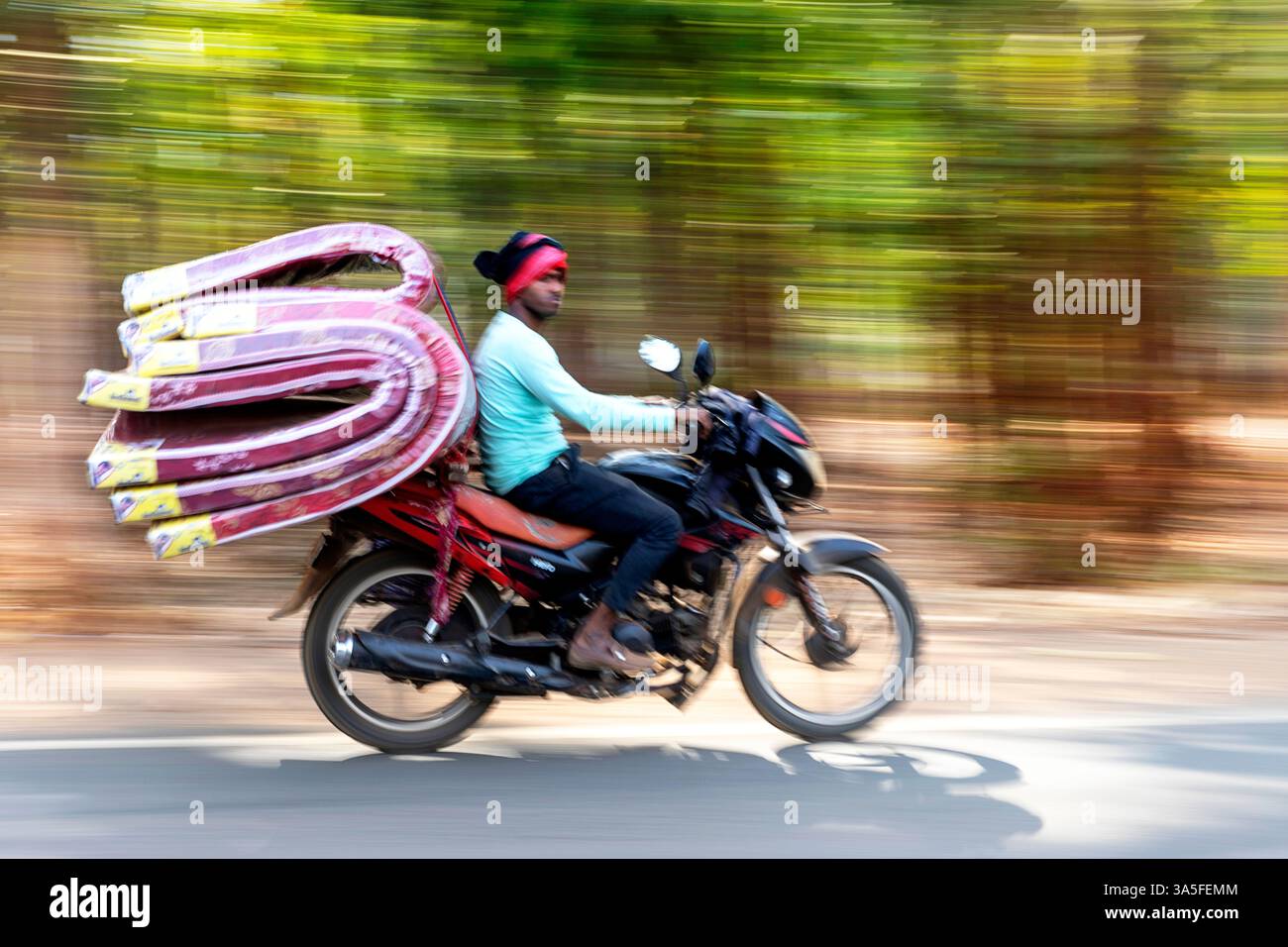 Moto con un autista e un carico ingombrante offuscato in movimento su una splendida strada di campagna attraverso il panoramico viale alberato vicino a Bhubaneswar, a Orissa, India Foto Stock