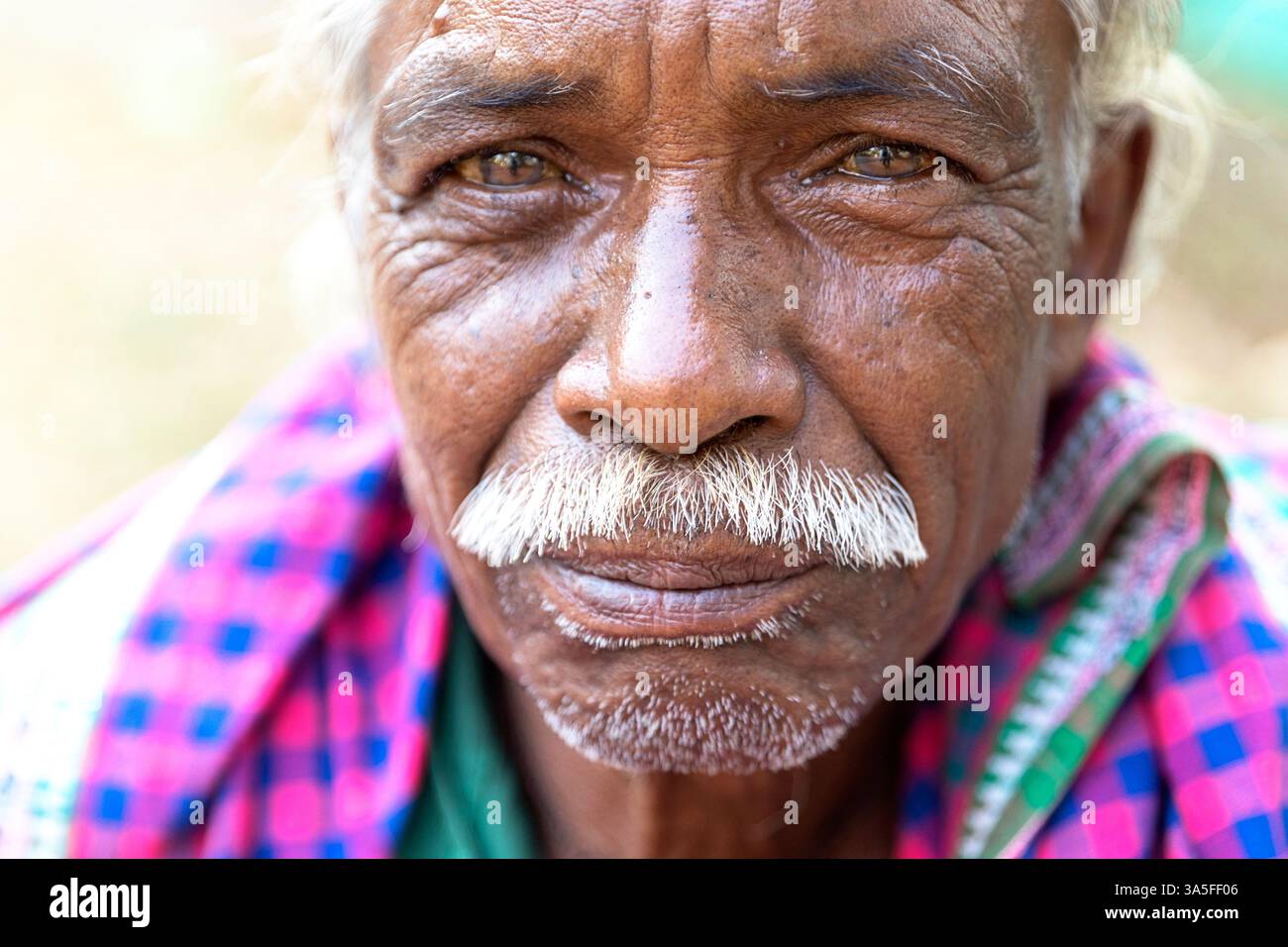 Ritratto di un uomo seduto vicino a una strada locale con baffi bianchi, Orissa, India Foto Stock
