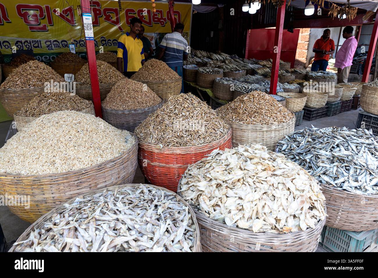 Venditore locale che vende pesce di mare essiccato impilato in cesti di legno in un mercato locale vicino a Bhubaneswar, Orissa, India Foto Stock