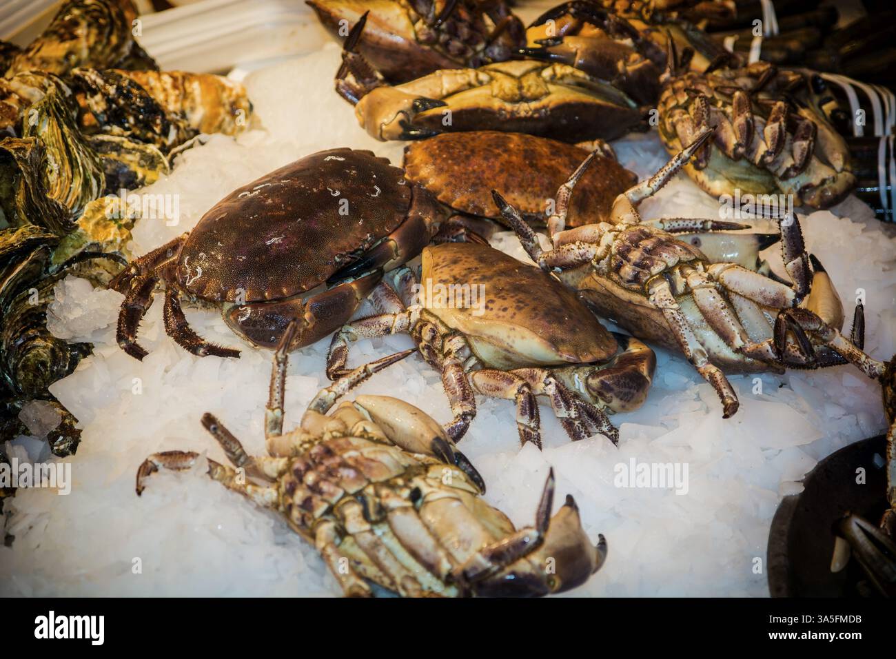 Fresh Marine granchi visualizzato sul ghiaccio tritato in un mercato di pesce o la pesca di essere utilizzato in gourmet cucina a base di pesce e di cucina Foto Stock