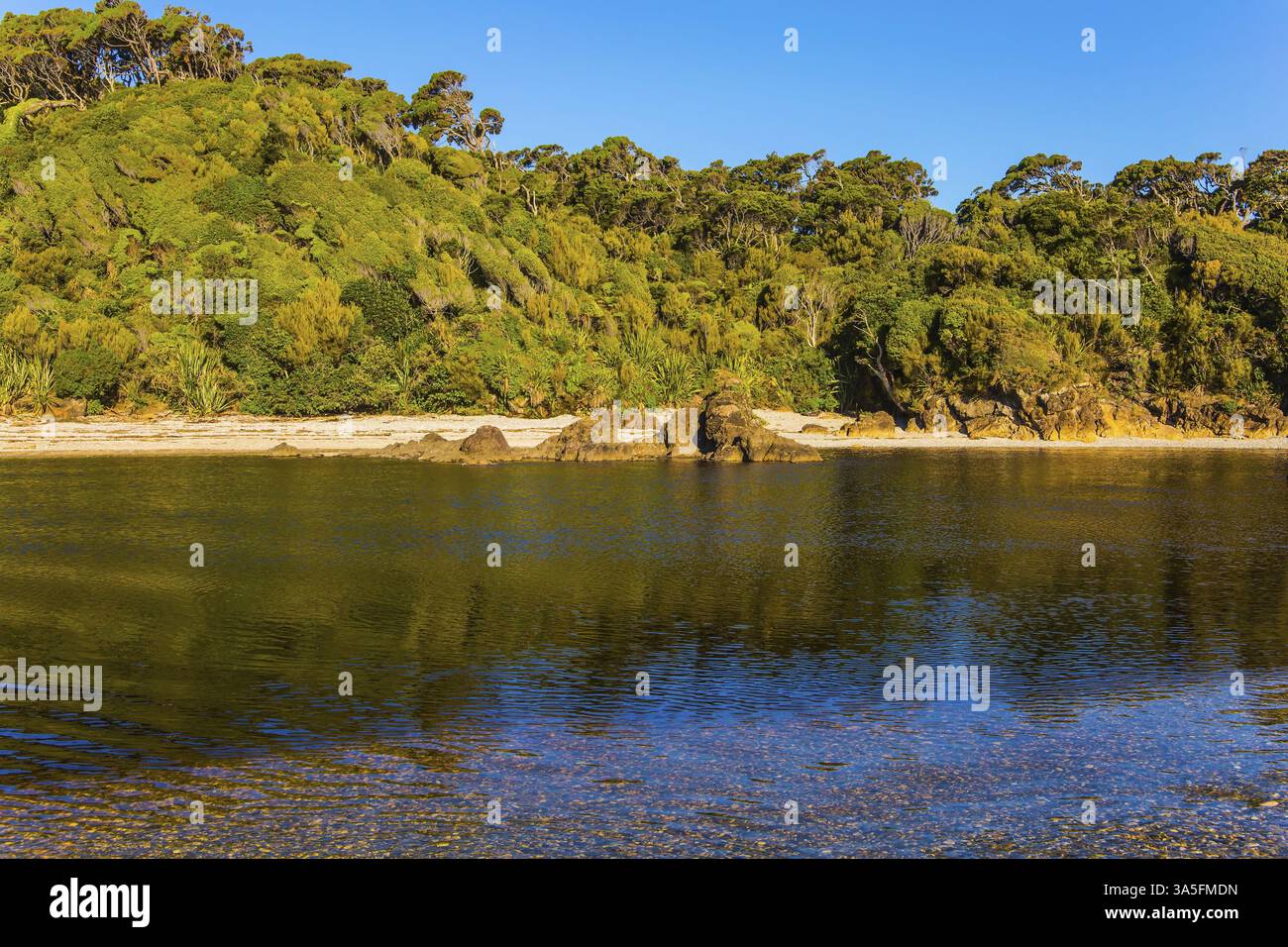 Pittoreschi riflessi magici di coste sopravate. Road to Knight's Point Lookout. Pozzanghere di acqua oceanica sulla riva. Costa del Pacifico a bassa marea. Nuovo Foto Stock