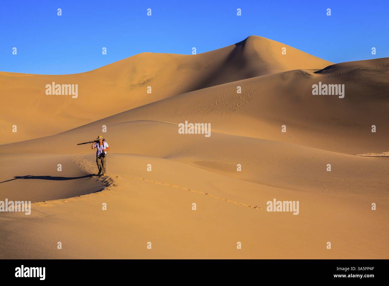 Donna - fotografa con una maglietta a righe è tra le dune di sabbia. Alba nelle sabbie arancioni del deserto di Mesquite Flat, Stati Uniti, Nord America Foto Stock