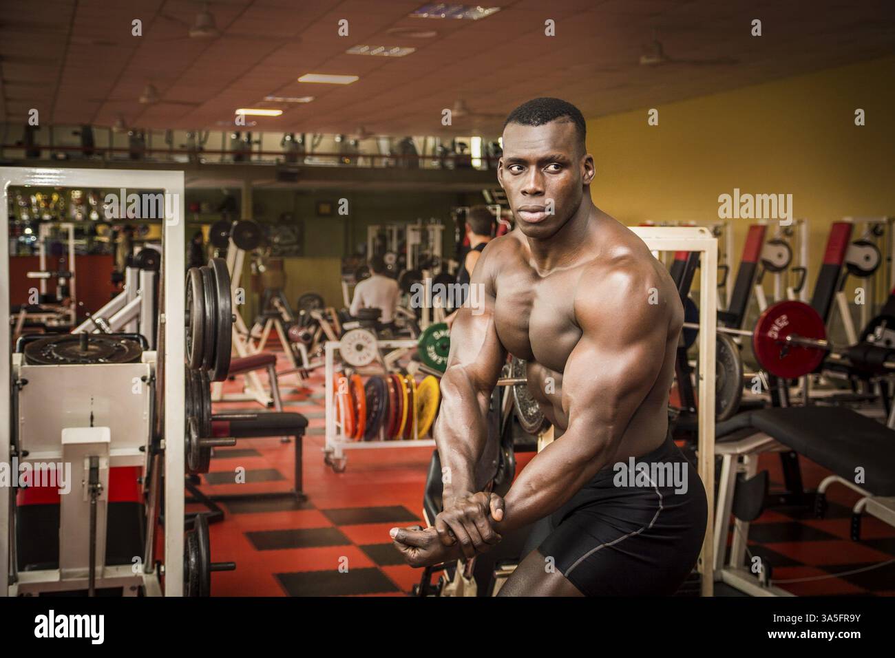 Attraente hunky maschio nero bodybuilder bodybuilding facendo pongono in palestra Foto Stock