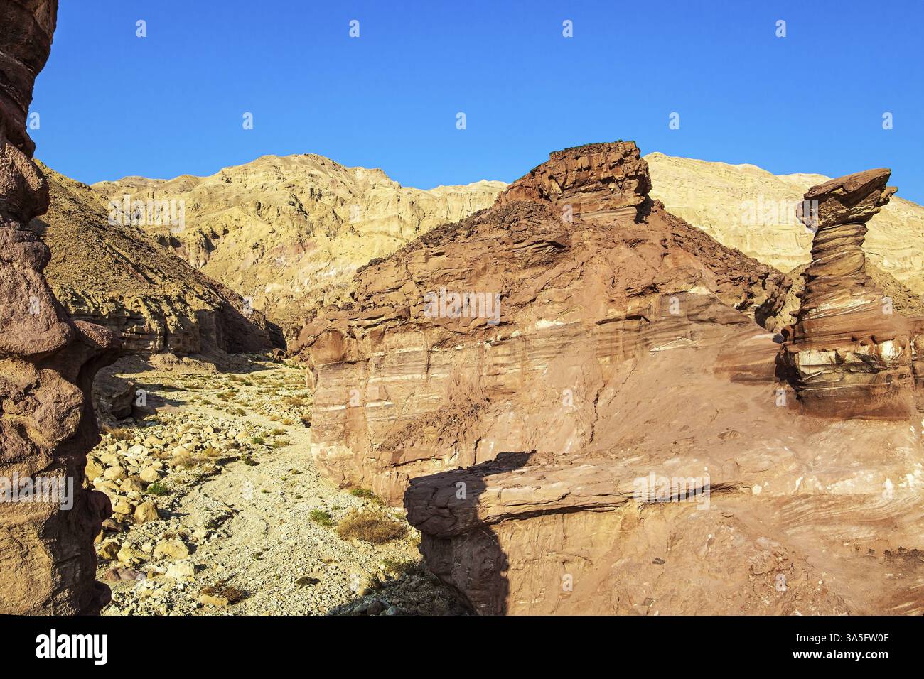 Montagne Eilat. Formazioni paesaggistiche multicolore. Forme bizzarre di arenaria intemperiata nelle montagne di Eilat. Le rocce sono composte da sandston Foto Stock