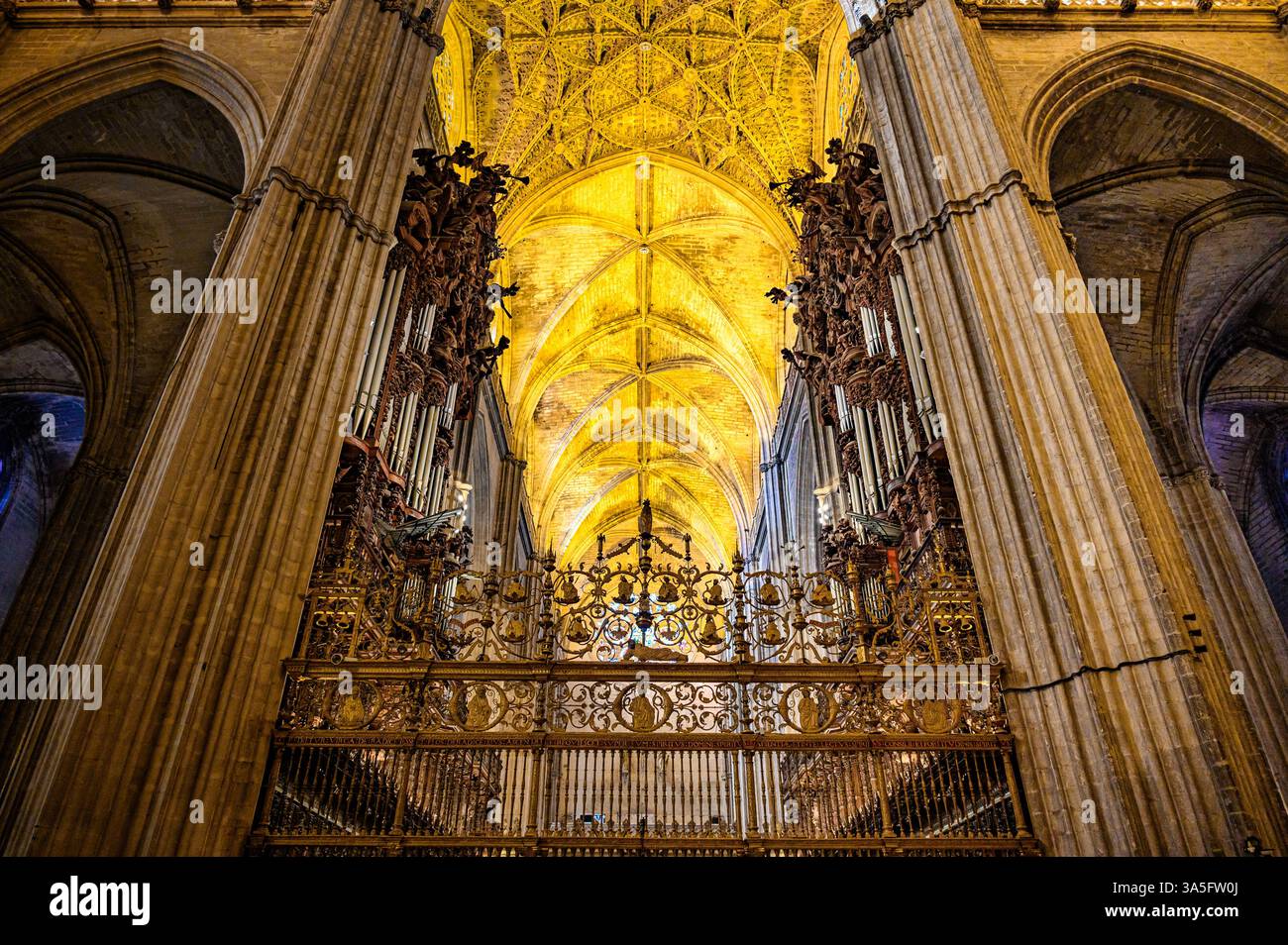 Vista simmetrica e ad angolo basso del soffitto della Cattedrale di Siviglia. Foto Stock