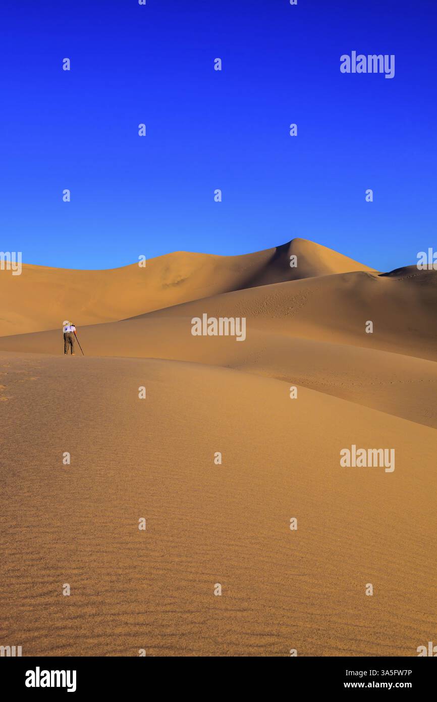 Donna - la fotografa con una maglietta a righe è pronta a scattare con un treppiede tra le dune di sabbia. Alba nelle sabbie arancioni del deserto Mesquite FLA Foto Stock