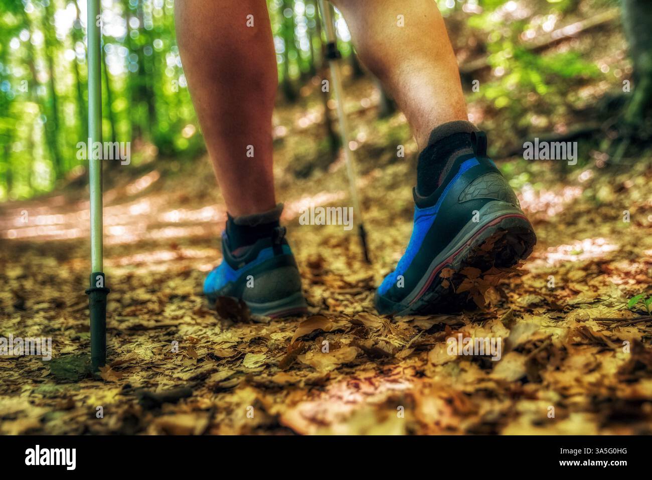 Scarpe da trekking che camminano sulle foglie nella foresta autunnale Foto Stock