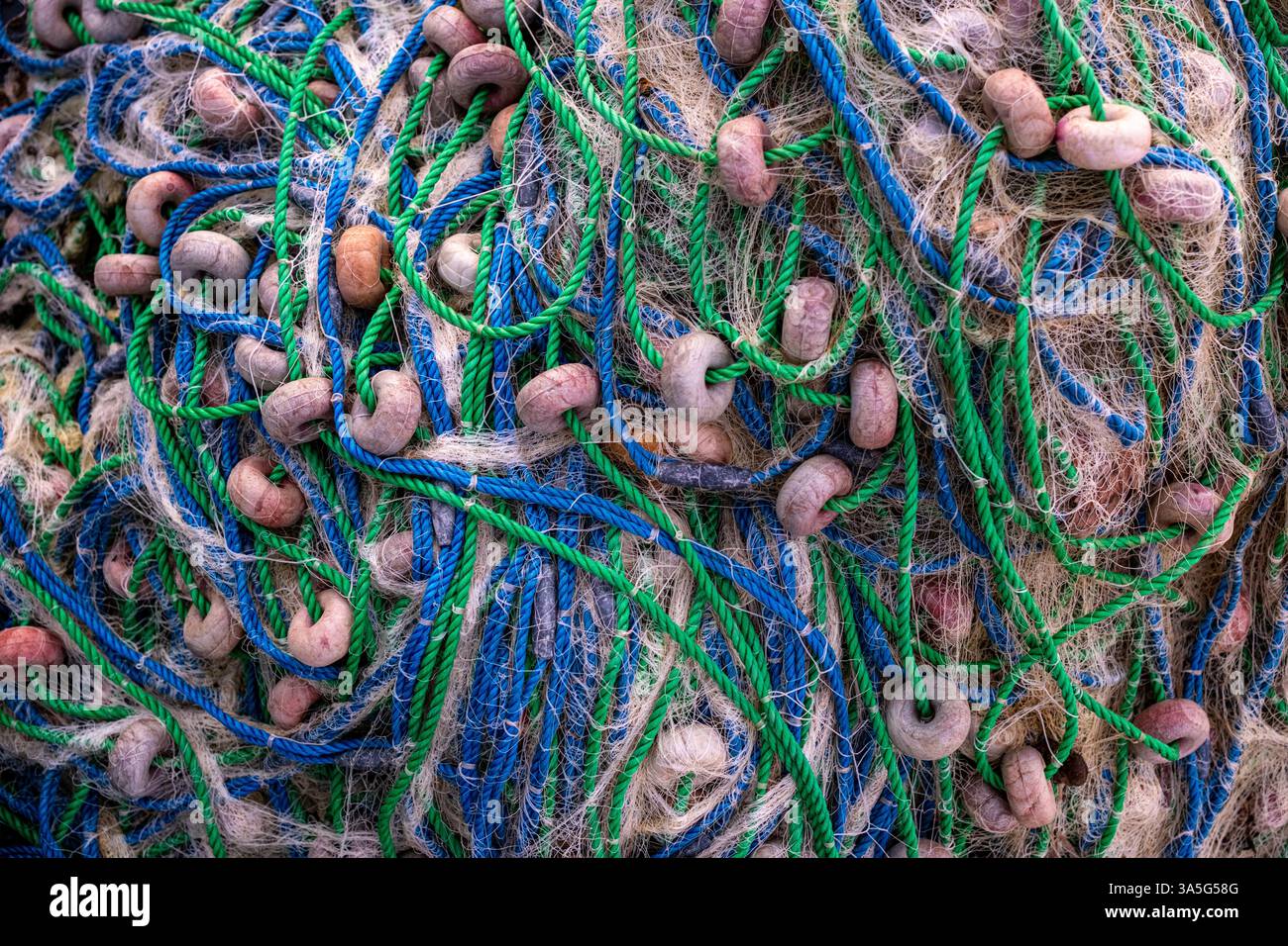 Immagine dettagliata di reti da pesca pali con corde verdi e blu e galleggianti marroni, che formano un'intricata struttura costiera. Foto Stock
