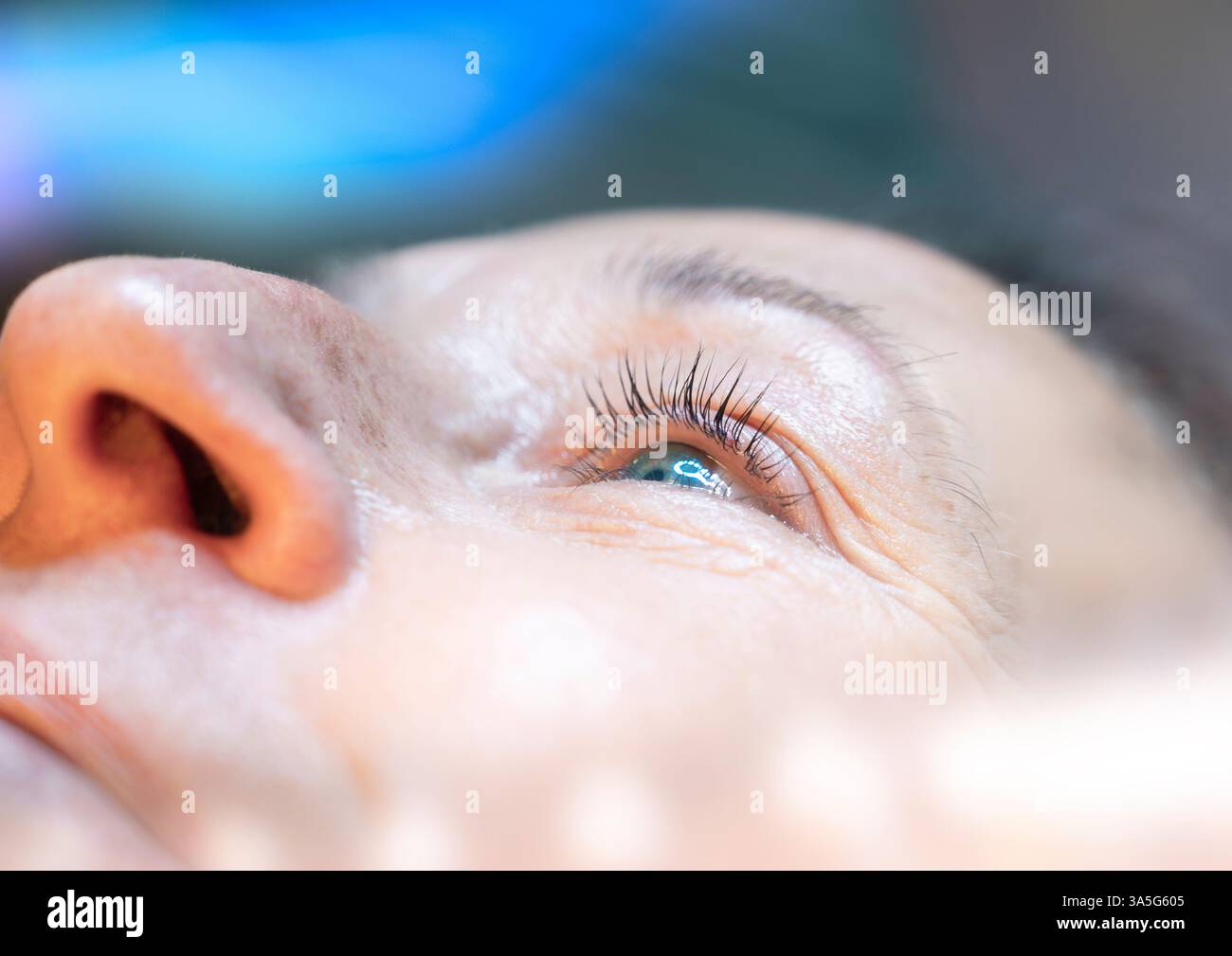 Primo piano di bellezza di una giovane donna che ha le ciglia sopracciglia arricchito con un sollevamento ciglia da un estetista in un salone di bellezza. Correzione della sagomatura. Foto Stock