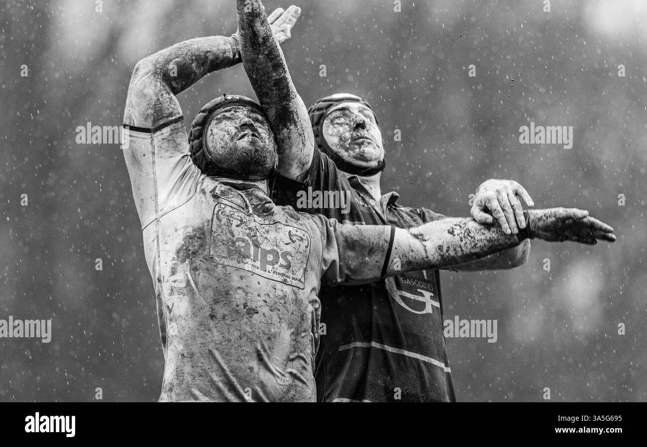 Partita amatoriale di rugby Union maschile giocata in condizioni di pioggia e fangoso. Foto Stock