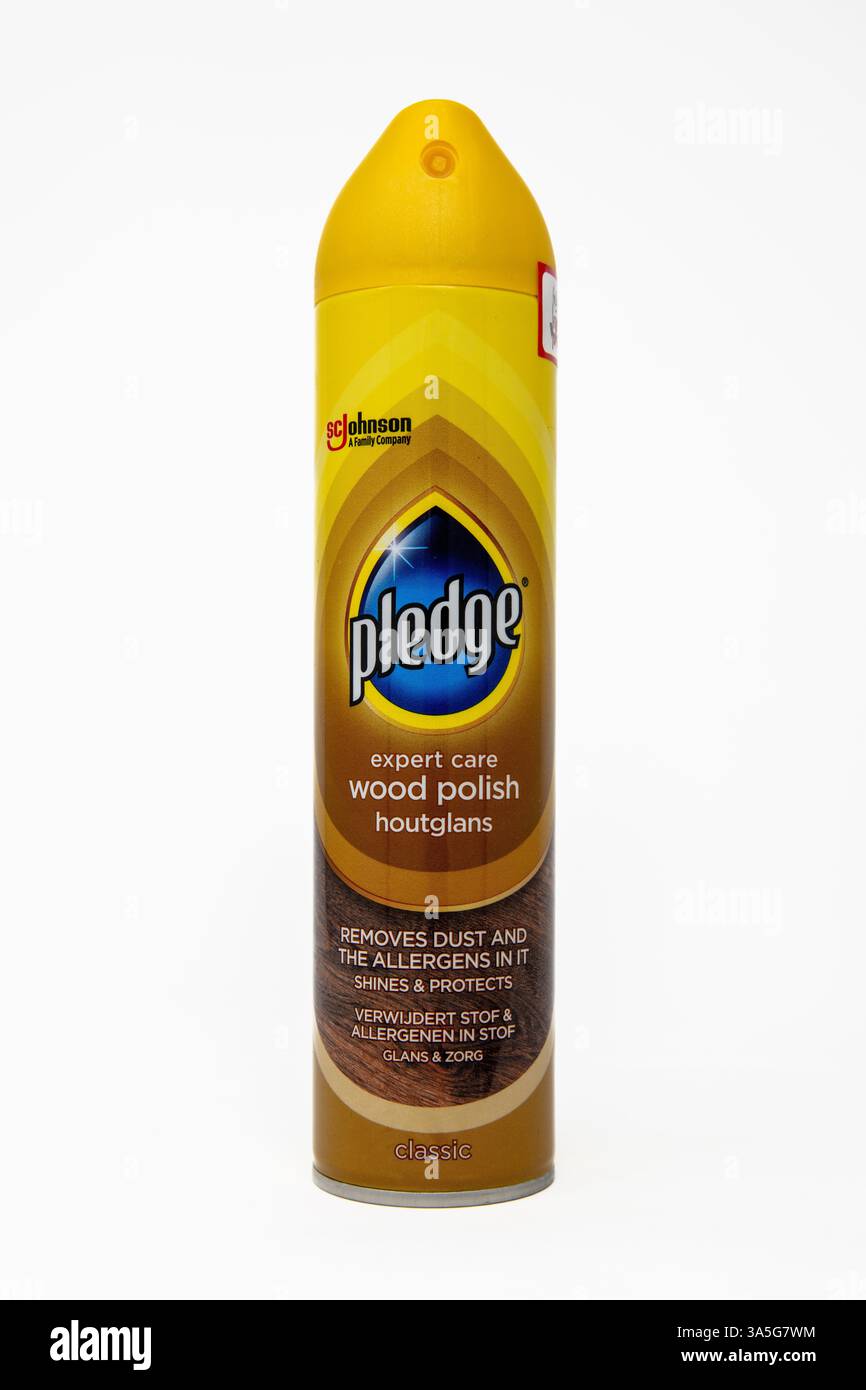 Pegno Expert Care polacco per legno. Foto Stock