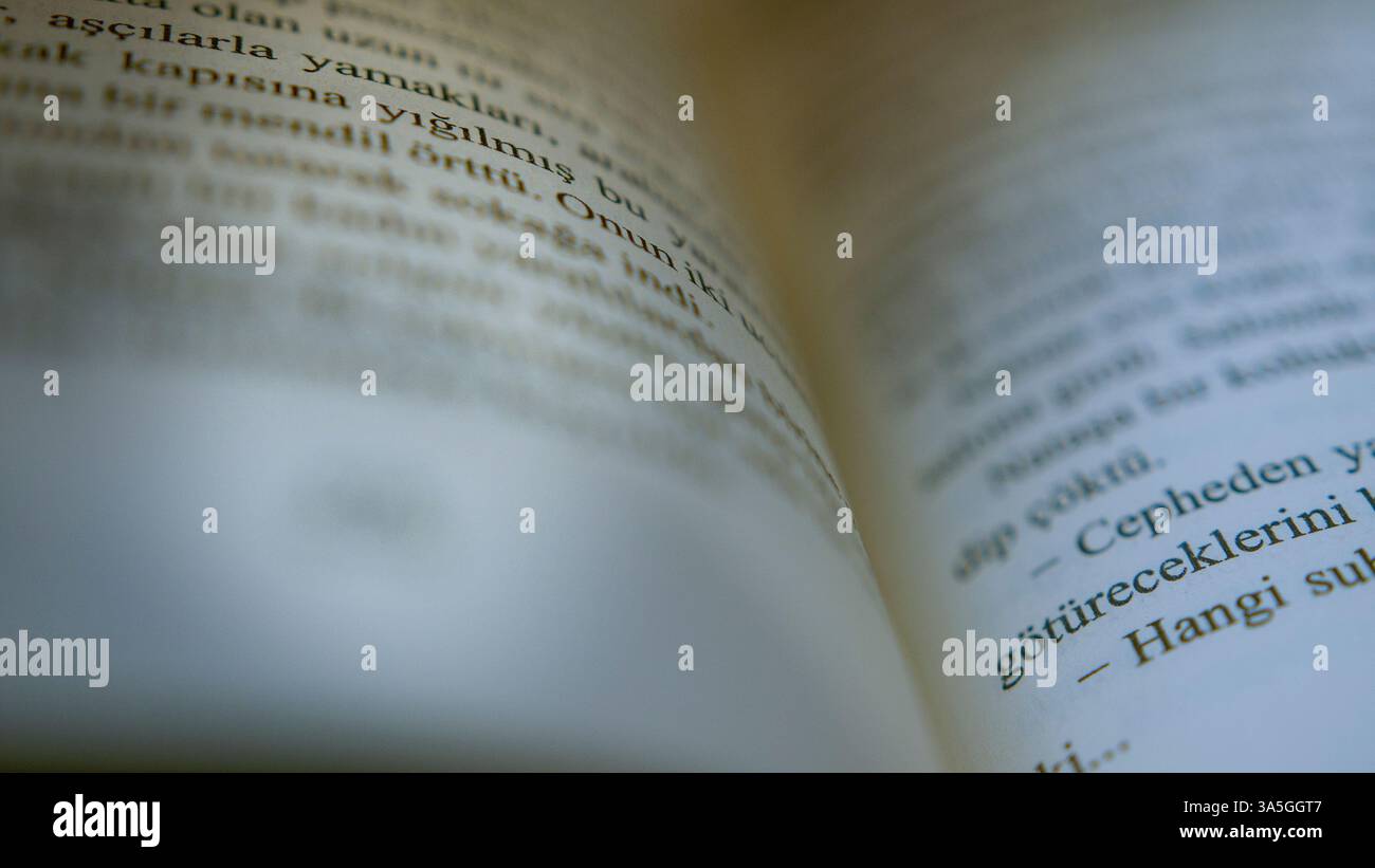 Sfogliare le pagine di un libro, leggere la letteratura, primo piano di un testo stampato in movimento Foto Stock