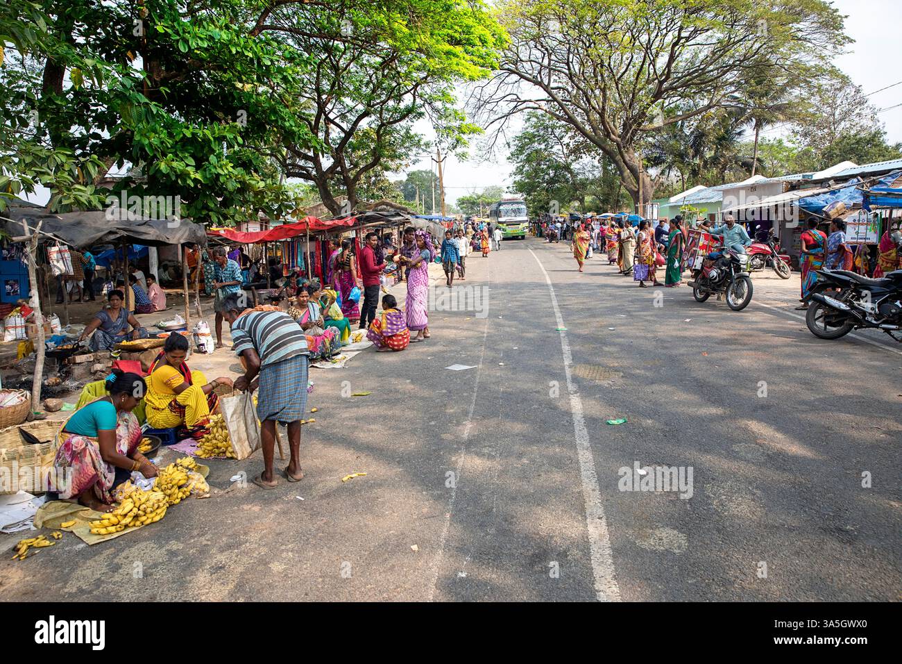 Bellissimo e pittoresco mercato locale di orissa, pieno di persone vestite con abiti colorati che vendono frutta, verdura e prodotti locali, orissa, india Foto Stock
