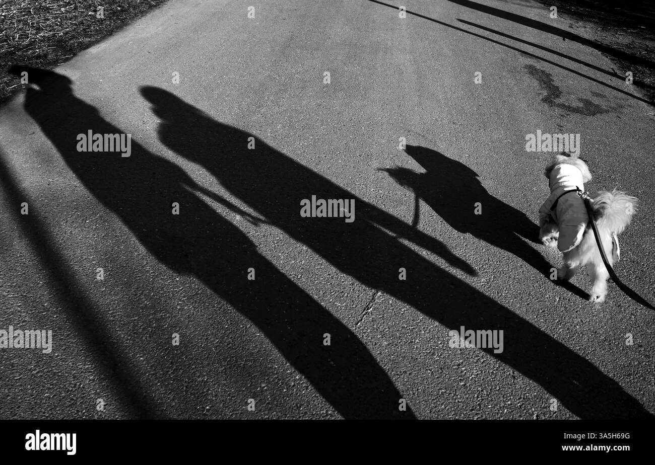 Cammina con il cane (Gassigehen) con una vista su un piccolo cane bianco e sagome omate di due persone per strada, fotografie in bianco e nero Foto Stock
