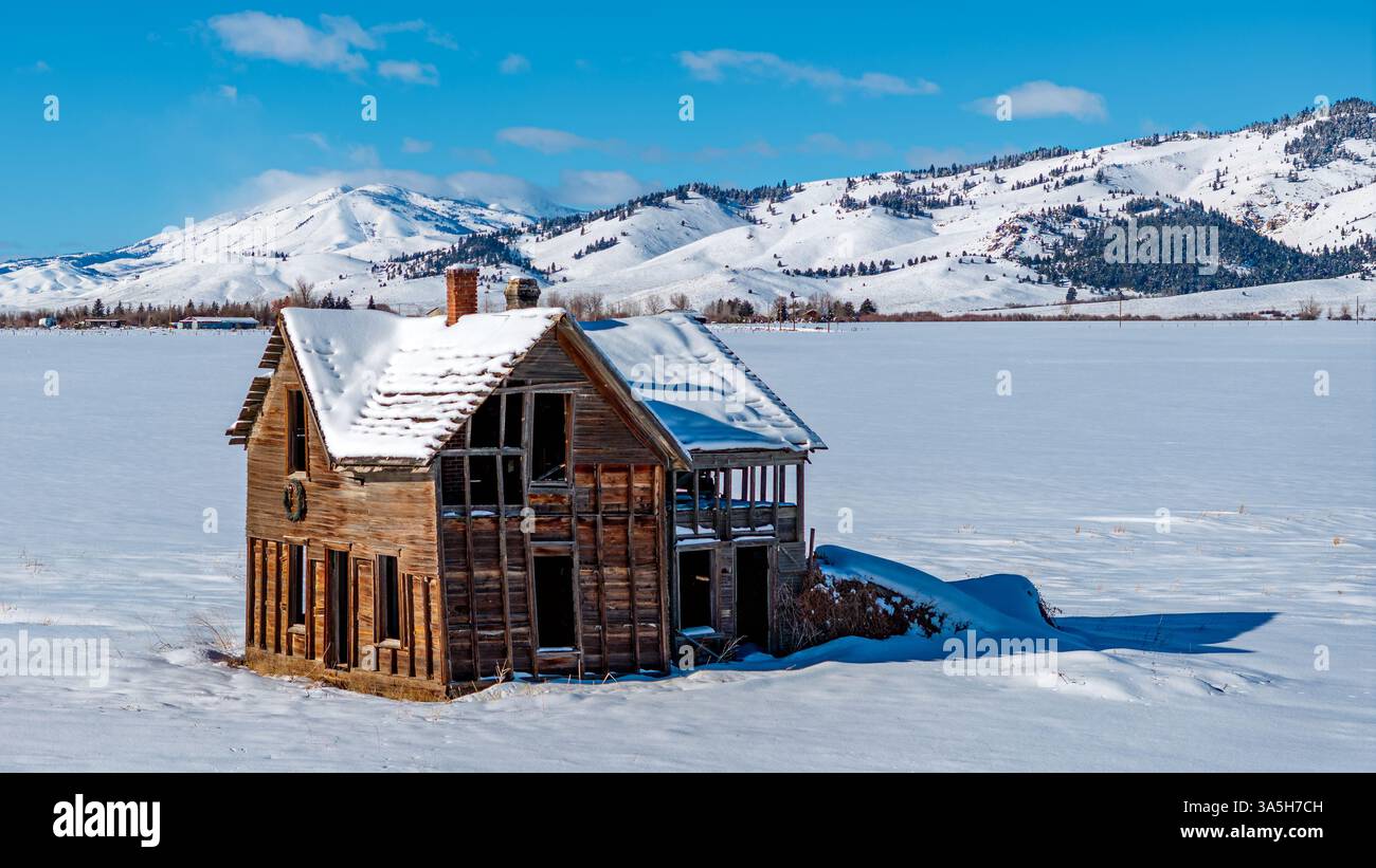 Campo invernale con terreno in legno sbriciolato Foto Stock