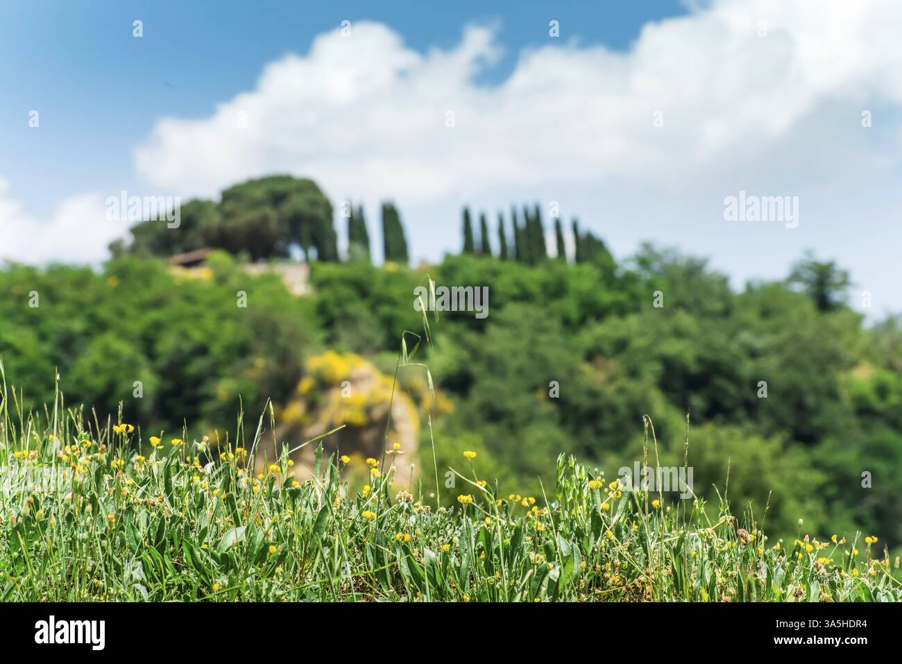 Paesaggio toscano. La luce del giorno. Foto Stock