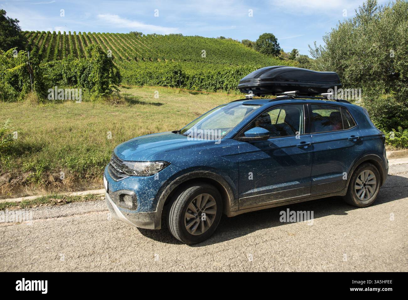Auto turistica nei vigneti. Campagna e auto con portabagagli in cima. Concetto di turismo rurale con auto e uva da vino sullo sfondo. Concetto di viaggio Foto Stock