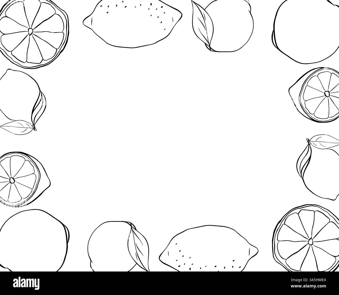 Limoni interi e riquadro rettangolare. Modello bianco e nero per agrumi. Illustrazione dell'inchiostro con linee grafiche vettoriali con spazio vuoto per il testo. Design Illustrazione Vettoriale