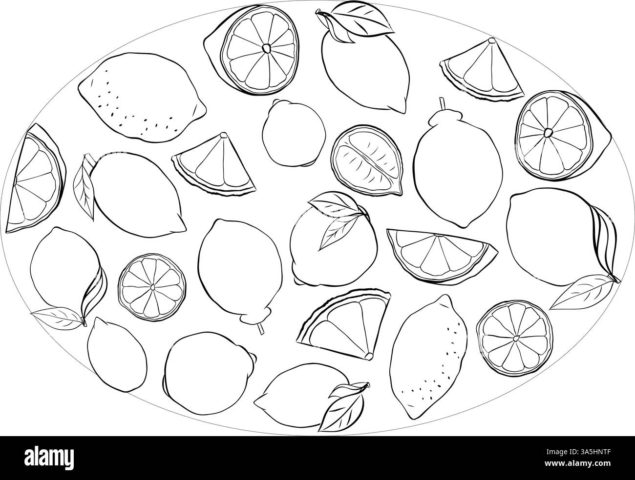 Limone giallo intero e fette con composizione ovale delle foglie. Illustrazione in bianco e nero dell'inchiostro con linee grafiche vettoriali su sfondo trasparente. illustrati Illustrazione Vettoriale
