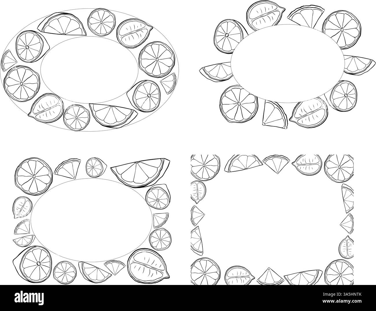 Il disegno vettoriale del riquadro ovale e rettangolare della sezione di limone. Illustrazione estiva disegnata a mano. illustrazione in bianco e nero dell'inchiostro per linee grafiche per l'imballaggio, Illustrazione Vettoriale