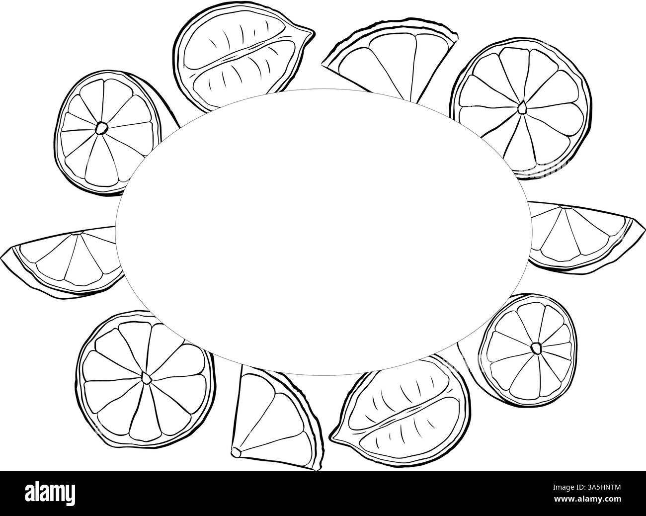 Disegno vettoriale della cornice ovale della sezione di limone. Illustrazione estiva disegnata a mano. illustrazione in bianco e nero con inchiostro grafico per imballaggio, tè, succo di frutta, natura Illustrazione Vettoriale