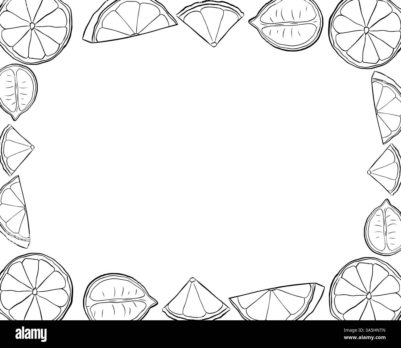 Riquadro rettangolare per sezioni di limoni. Modello bianco e nero con agrumi. Illustrazione dell'inchiostro con linee grafiche vettoriali con spazio vuoto per il testo. Ideale per m Illustrazione Vettoriale