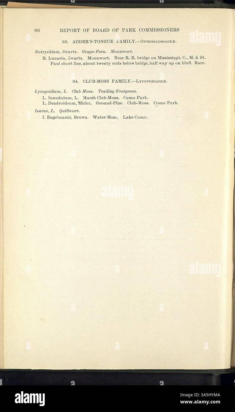 La seconda relazione annuale del Saint Paul Board of Park Commissioners, per il periodo dal 1° marzo 1888 al 28 febbraio 1889, include dettagli sui commissari dei parchi, le spese, le acquisizioni di terreni e le regole per i parchi pubblici. Include anche un report sul Como Park, una mappa del parco e del lago e elenchi di flora. Foto Stock La seconda relazione annuale del Saint Paul Board of Park Commissioners, per il periodo dal 1° marzo 1888 al 28 febbraio 1889, include dettagli sui commissari dei parchi, le spese, le acquisizioni di terreni e le regole per i parchi pubblici. Include anche un report sul Como Park, una mappa del parco e del lago e elenchi di flora. Foto Stock