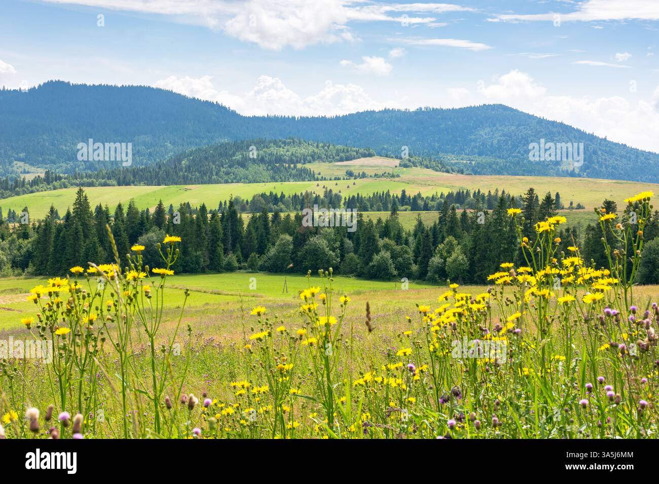 paesaggio di campagna con prato in estate. splendida vista della montagna sotto il cielo con nuvole sullo sfondo Foto Stock