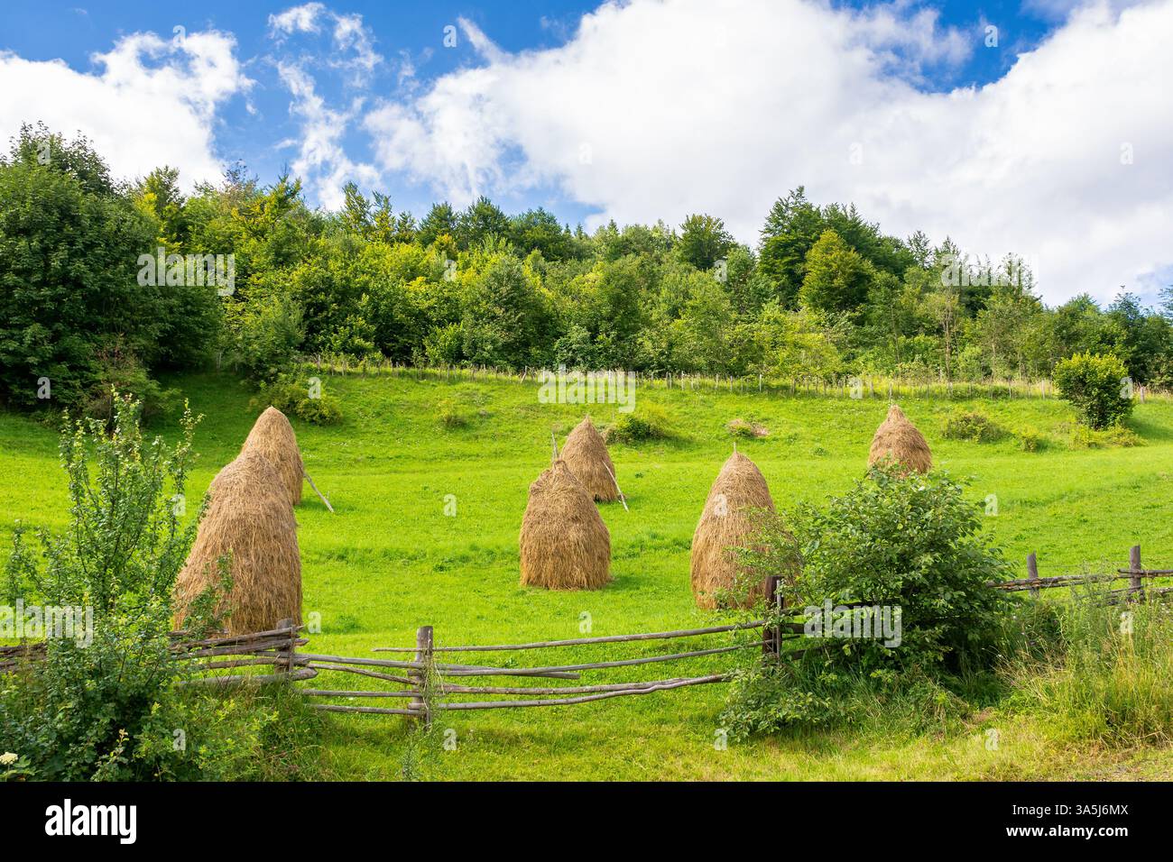paesaggio rurale in montagna. pagliaio sul campo vicino alla foresta. giorno d'estate con cielo nuvoloso Foto Stock
