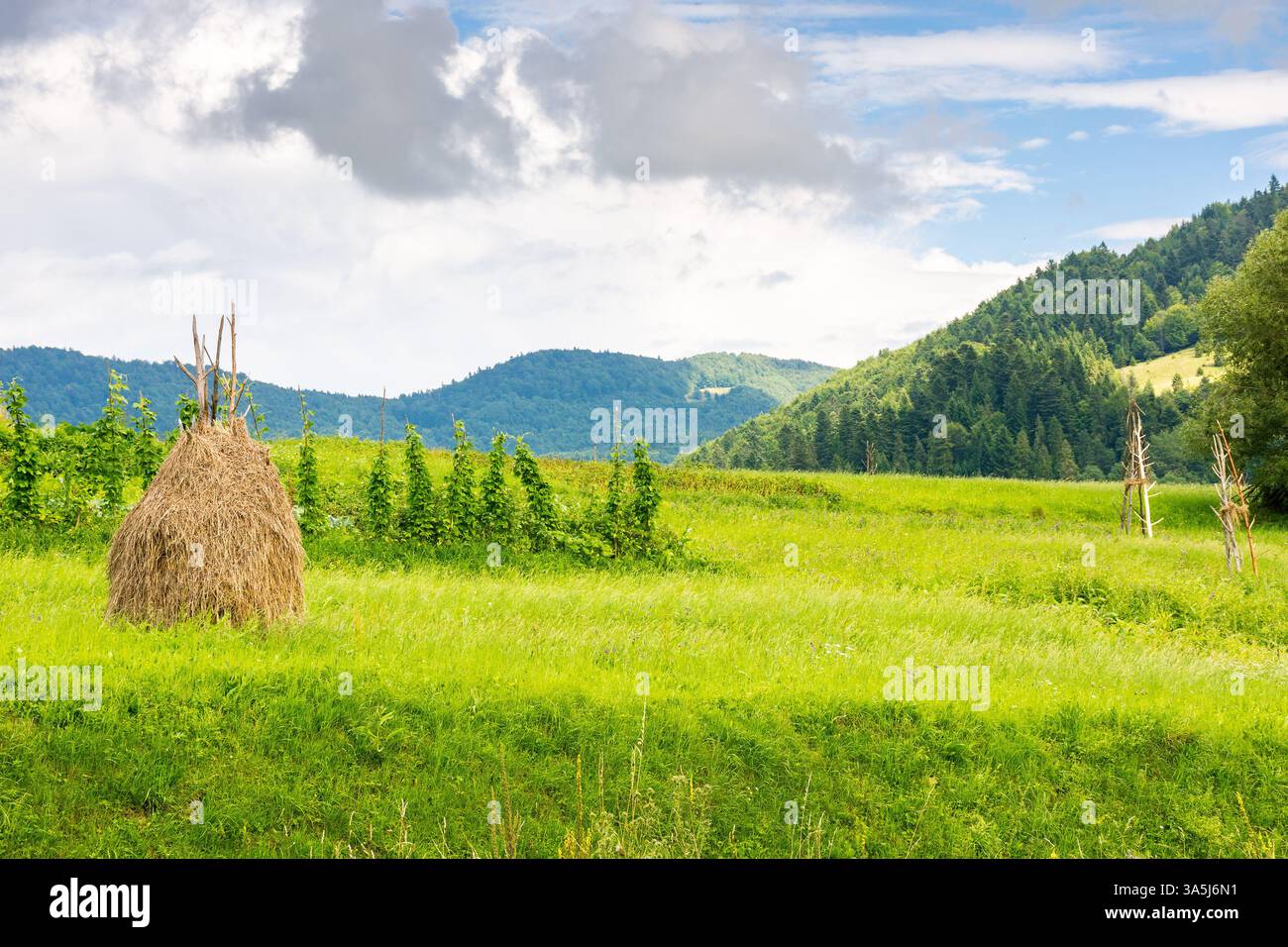 paesaggio rurale in montagna. pagliaio sul campo vicino alla foresta. giorno d'estate con cielo nuvoloso Foto Stock