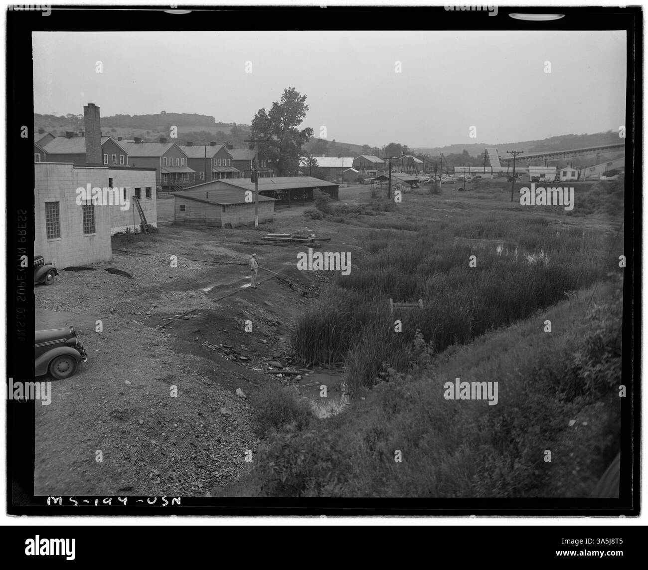 Un'area paludosa situata nella proprietà della miniera Nemacolin della Buckeye Coal Company, situata nella contea di Greene, Pennsylvania. Foto Stock