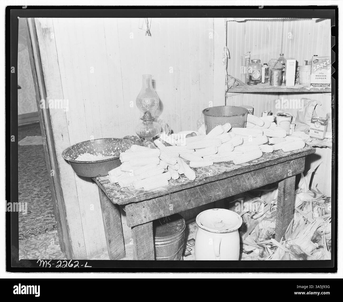 I minatori di carbone della Belva Mine della Kentucky Straight Creek Coal Company nella contea di Bell, Kentucky, coltivarono il loro cibo e lo conservarono attraverso l'inscatolamento. La miniera è stata chiusa dopo un'esplosione mortale nel dicembre 1945. Foto Stock