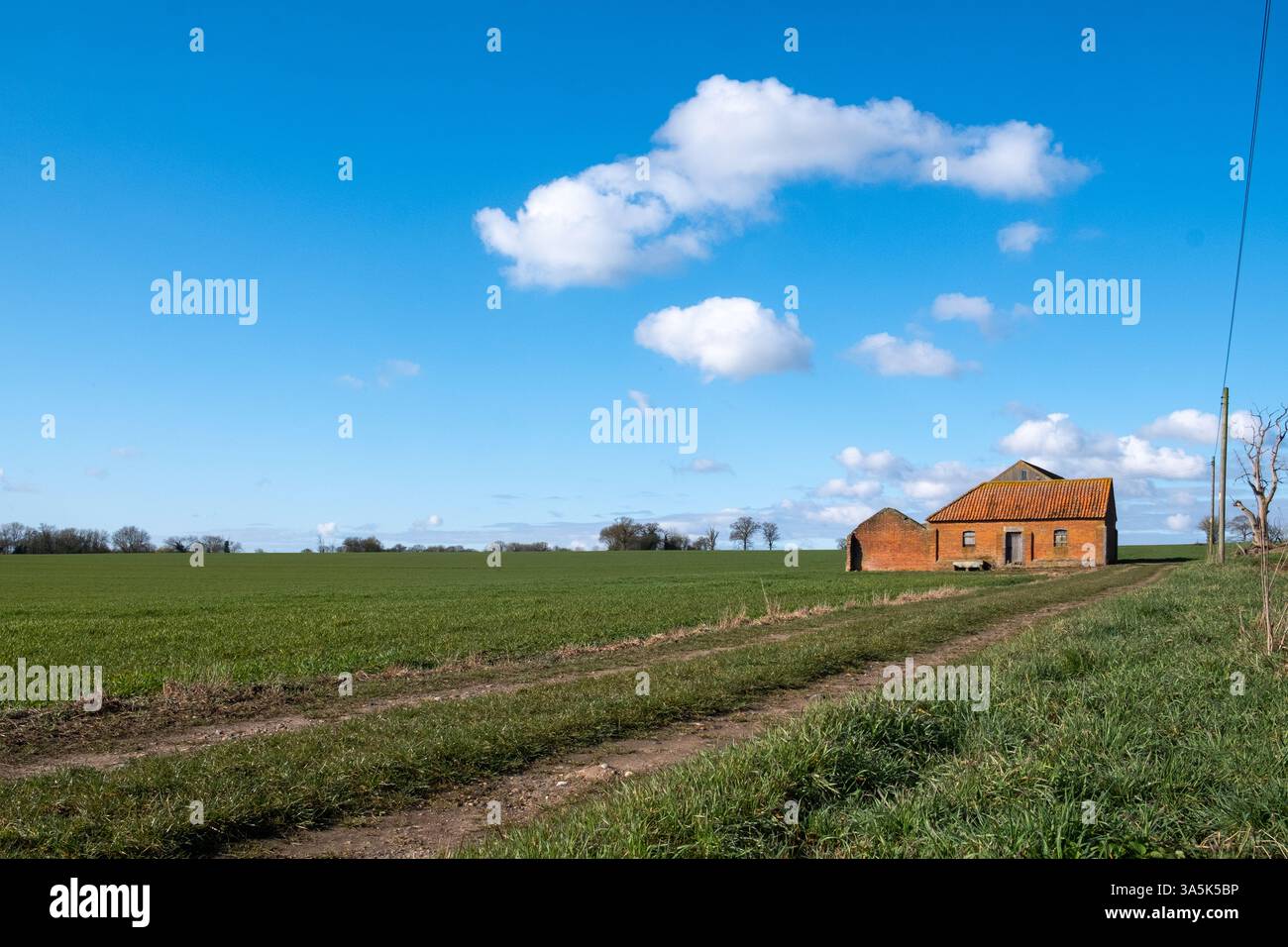 Fienile rosso in una fattoria, Suffolk, Regno Unito. Foto Stock