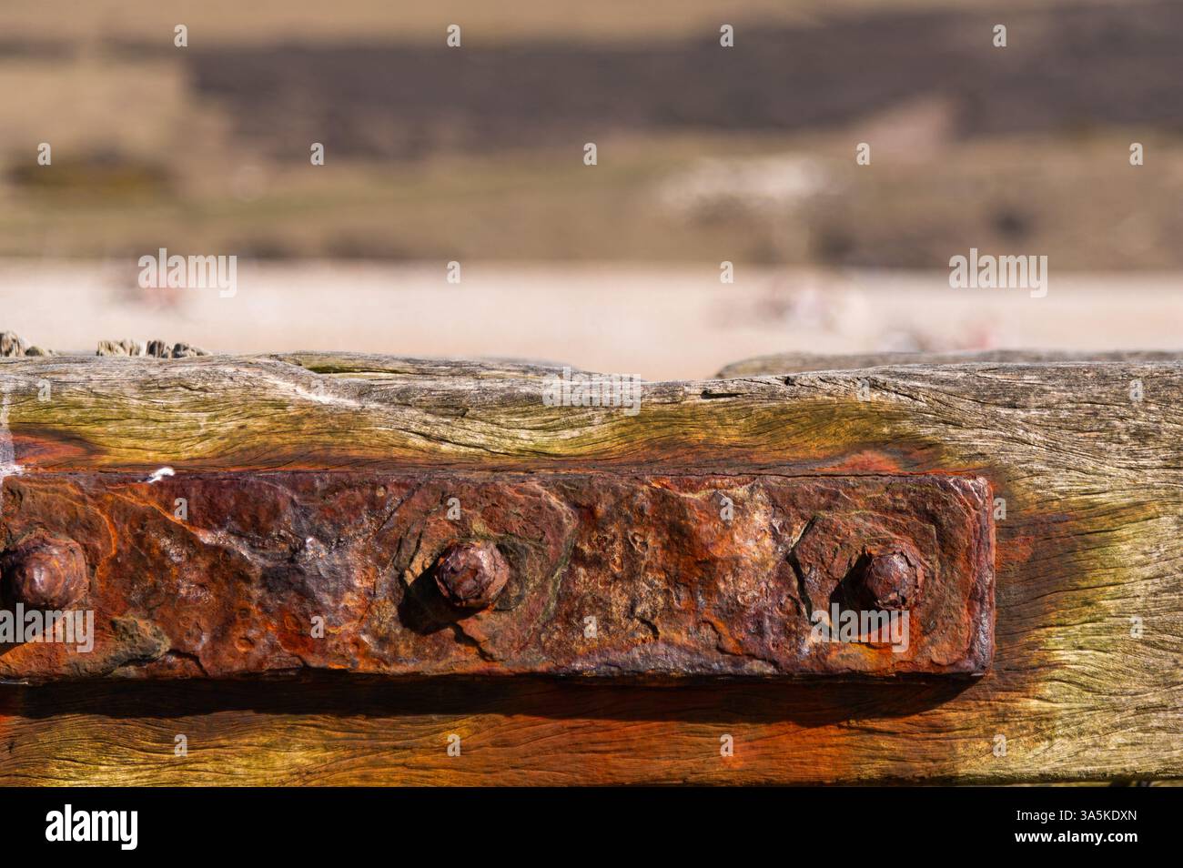 Primo piano di un piatto di metallo arrugginito e di un groyne di legno intemprato sulla spiaggia di Cuckmere Haven, nell'East Sussex, che mostra segni di età, esposizione e tempo costiero Foto Stock