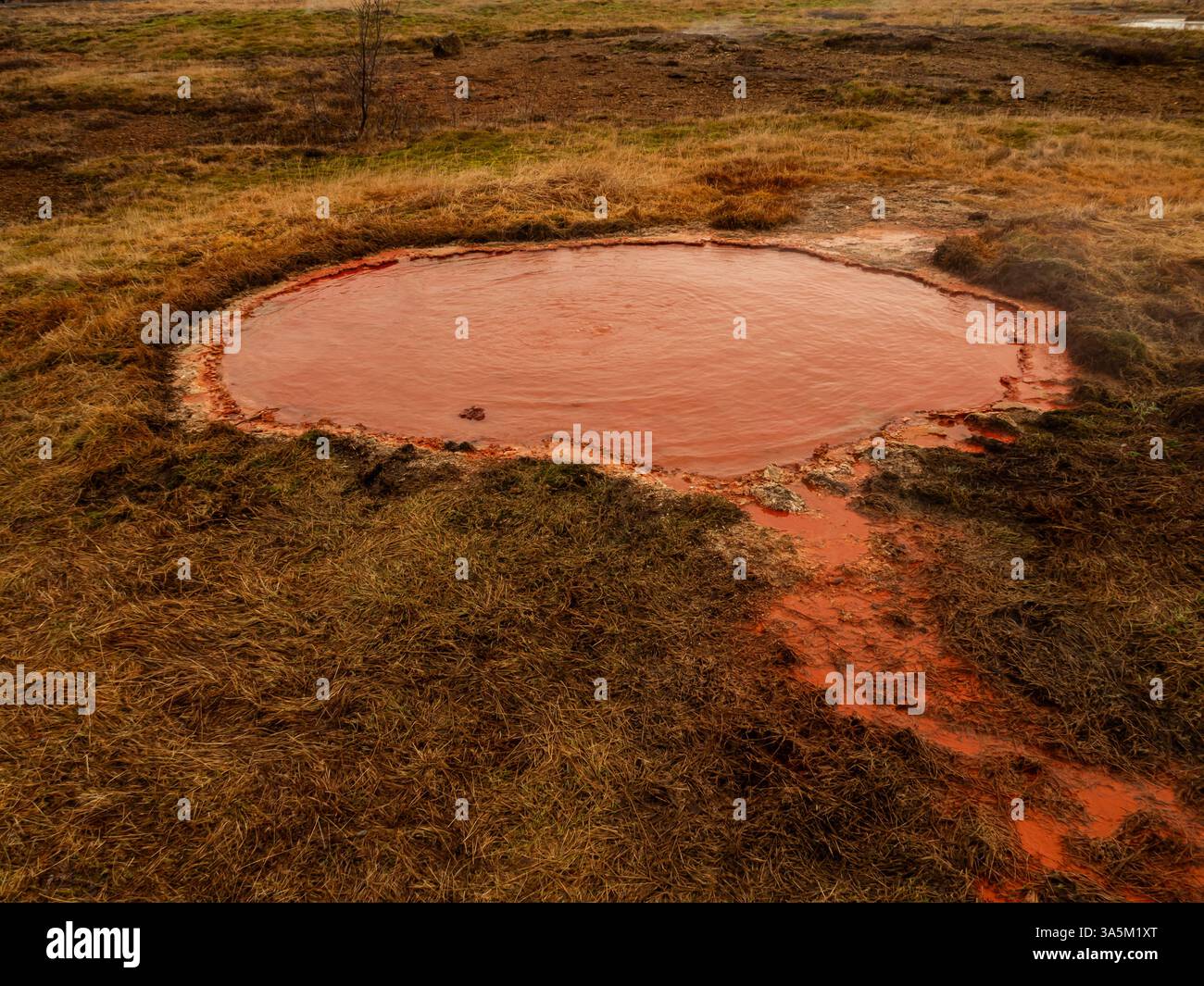 Sorgenti termali geotermali nella zona di Geysir, Haukadalur, Islanda. Una frizzante piscina ricca di minerali dalle vivaci sfumature rosse, circondata da terra fumante e Foto Stock
