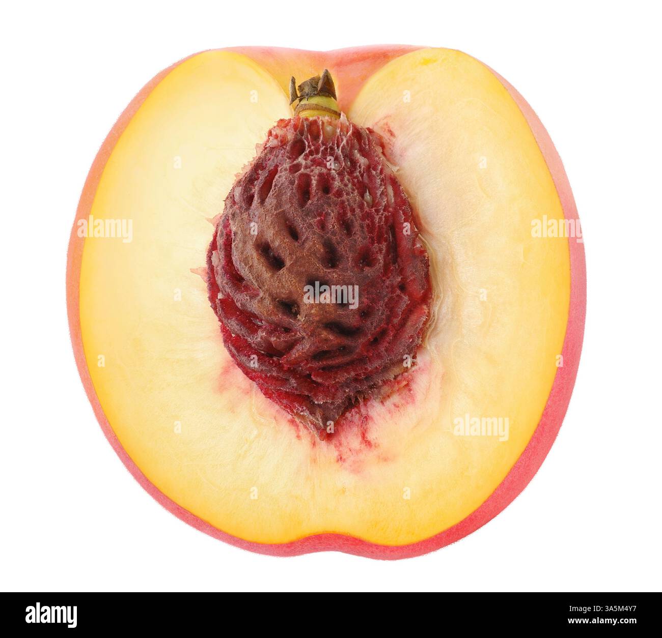 Sezione trasversale su pesche nettarine isolate su sfondo bianco Foto Stock