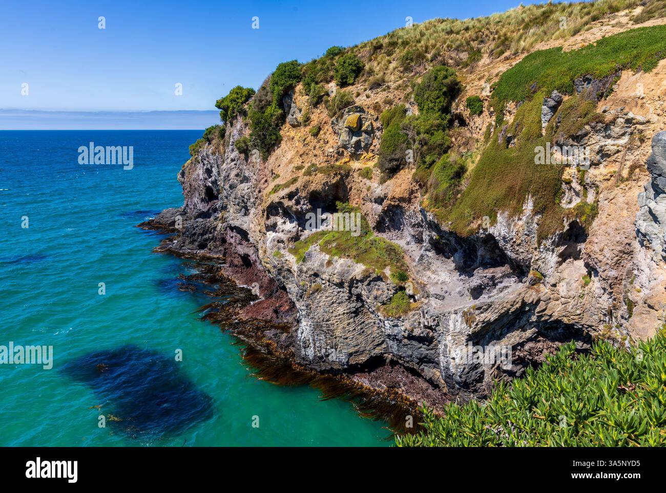 Vista panoramica costiera del porto di Otago dalla penisola di Otago, Dunedin, nuova Zelanda Foto Stock