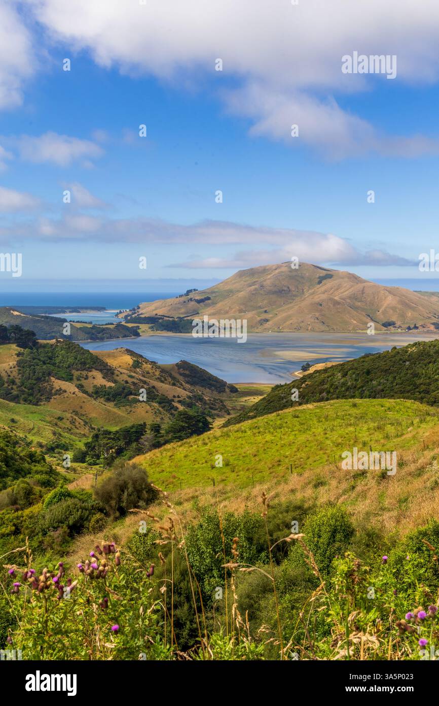 Vista panoramica costiera del porto di Otago dalla penisola di Otago, Dunedin, nuova Zelanda Foto Stock