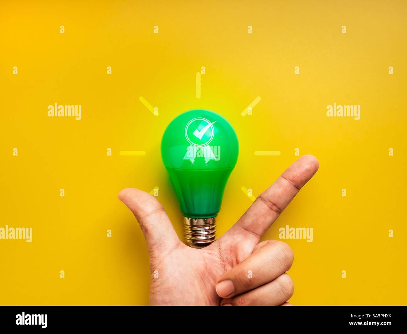 Qualità aziendale e successo del servizio, idea creativa, concetto di sostenibilità dell'innovazione ecologica. Lampadina verde con garanzia, icona premio con corretto, Foto Stock