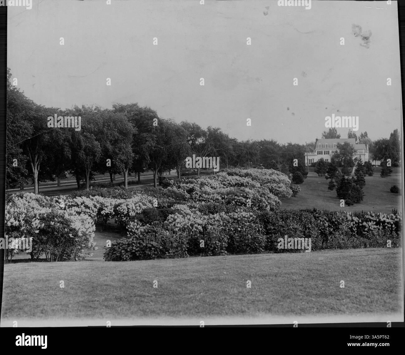 Il Lilac Garden di Lyndale Park a Minneapolis è noto per la sua vibrante collezione di lillas, che fioriscono in primavera, contribuendo allo status del parco come sito botanico e ricreativo locale. Foto Stock