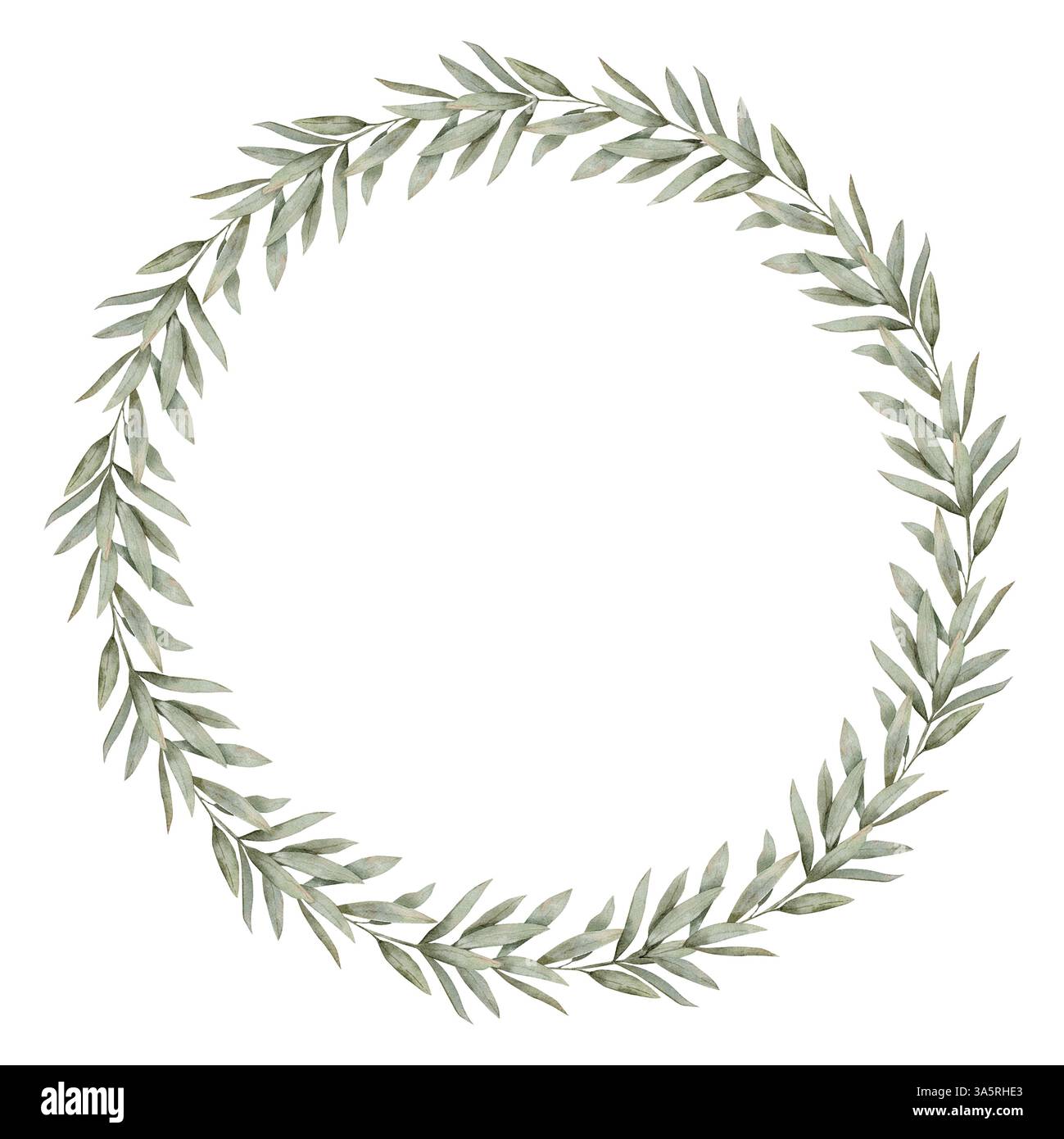 Cornice disegnata a mano con un ramo di eucalipto su un selvaggio colore verde. Cornice quadrata per negozi, banner, cartoline Foto Stock