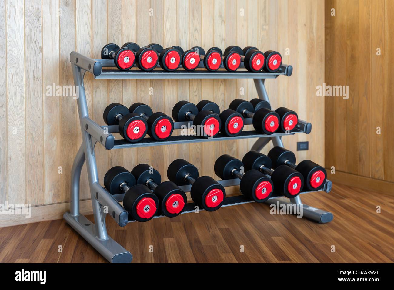 Nel moderno centro fitness sportivo potrai stare in piedi con diversi manubri, attrezzature per l'allenamento pesi, manubri neri su scaffale. Foto Stock