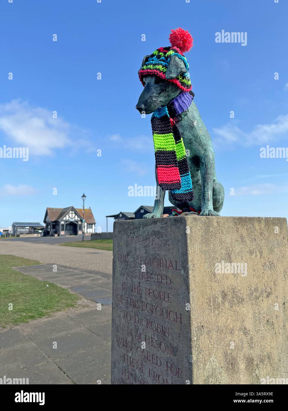 memorial al medico locale, aldeburgh, suffolk, con divertente cappello a maglia e sciarpa per statua del cane, aldeburgh, suffolk, inghilterra Foto Stock