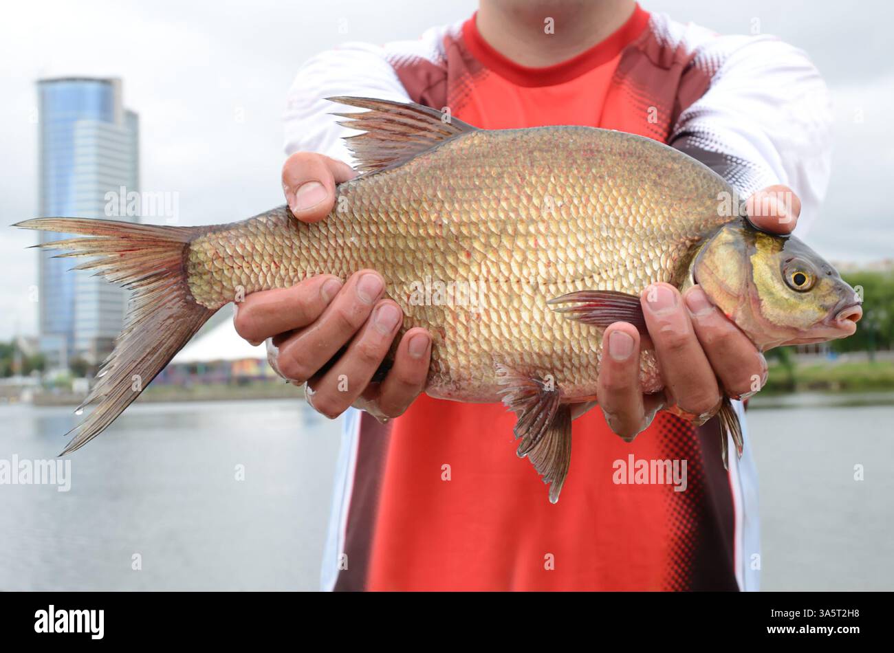 Fisherman con l'orata grossa in braccio Foto Stock