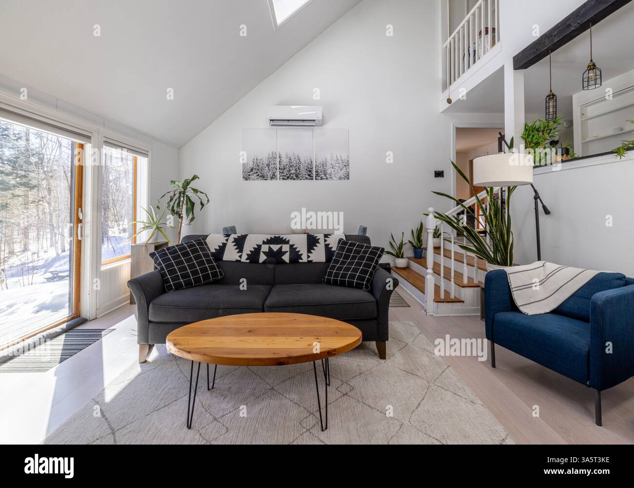 Interni moderni in stile scandinavo con opere d'arte e divano Foto Stock