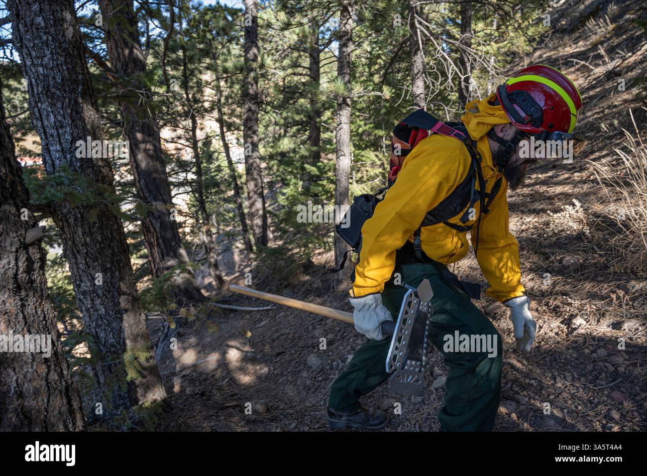 Wildland Firefighter cammina su una collina con l'attrezzo Foto Stock