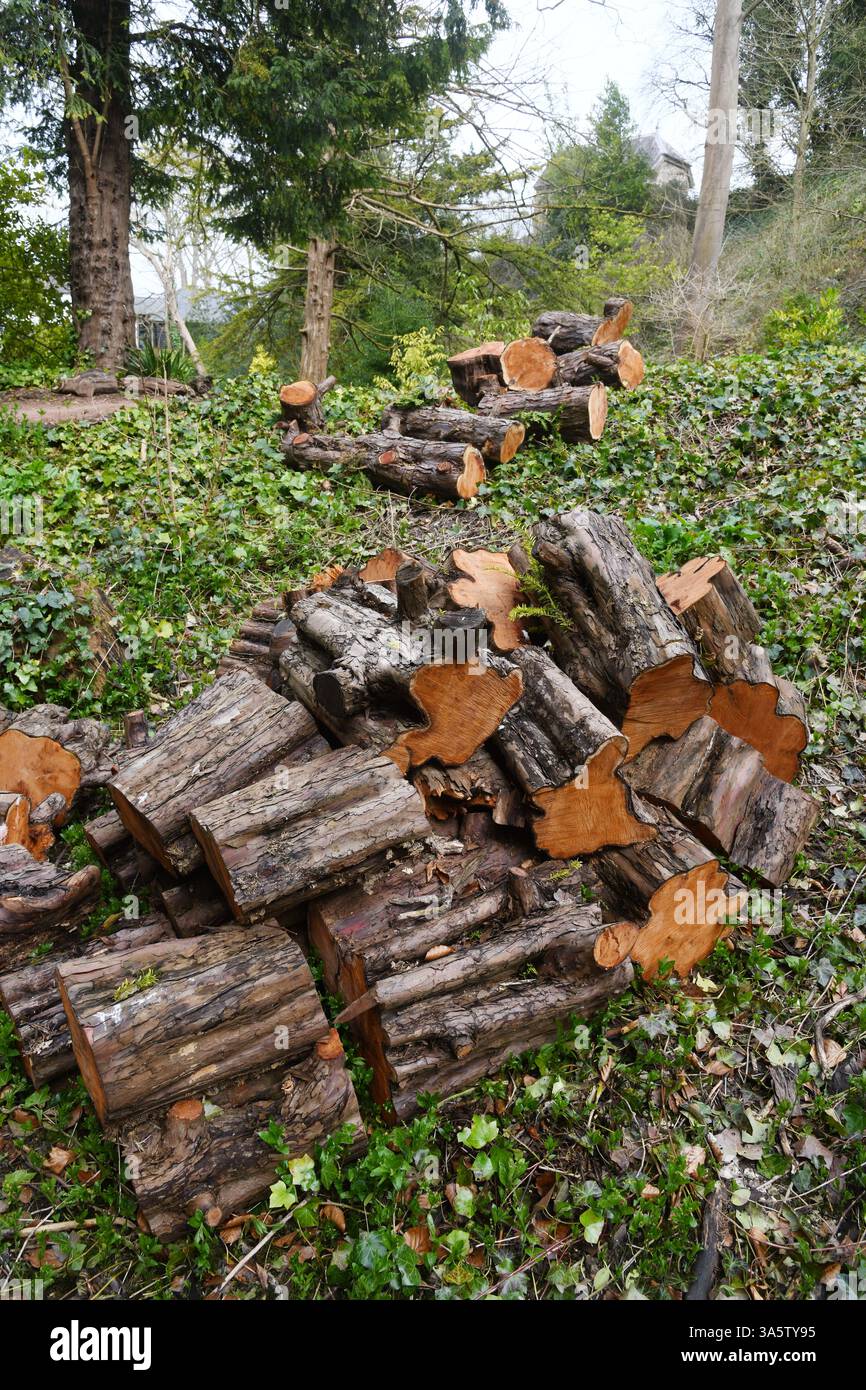 Acquisizione di terreni da parte del governo Foto Stock